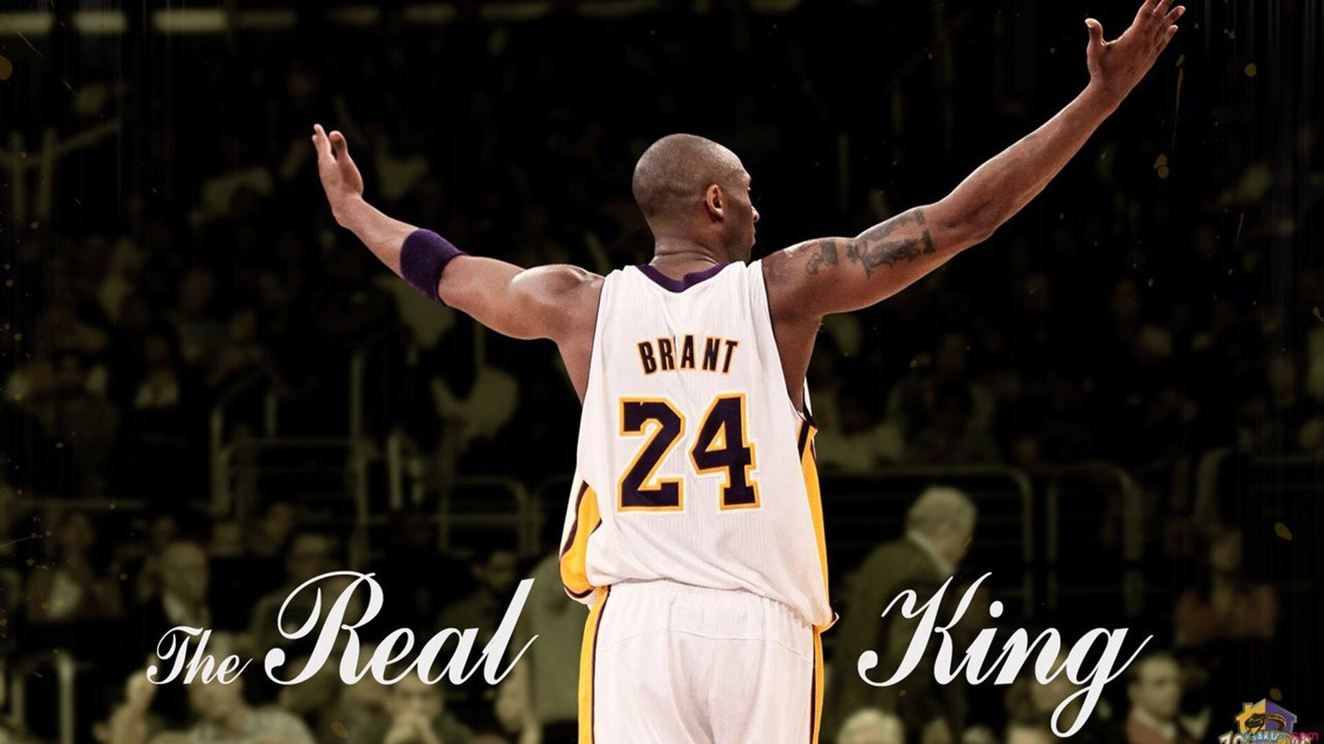 独家专访:某某球员谈未来目标与心路历程